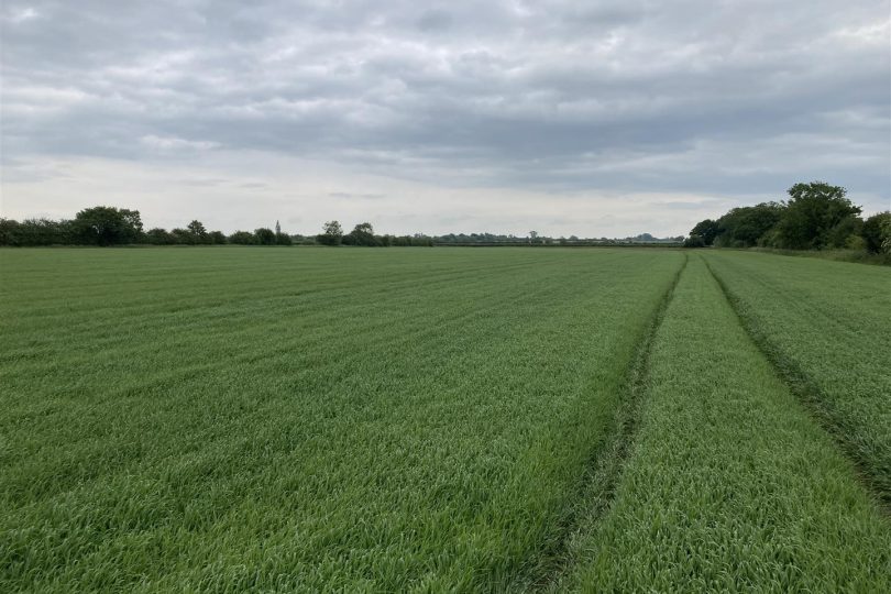 291 Acres – Hall Farm, Upton, Gainsborough