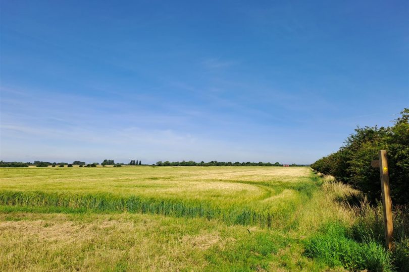 Lot 6 (14.78 Acres) – Pt. West Farm, Winteringham, Scunthorpe