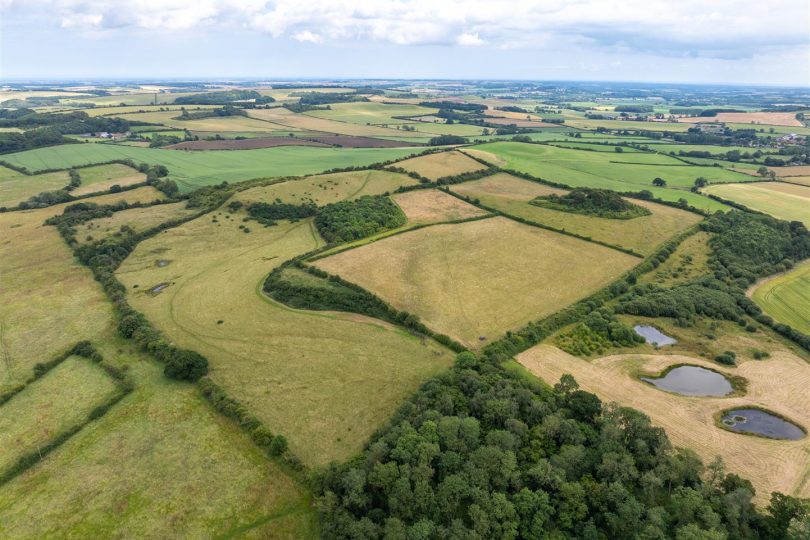 Flintwood Farm (147 Acres), Hemingby Road, Belchford