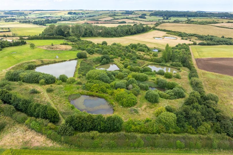 Flintwood Farm (147 Acres), Hemingby Road, Belchford