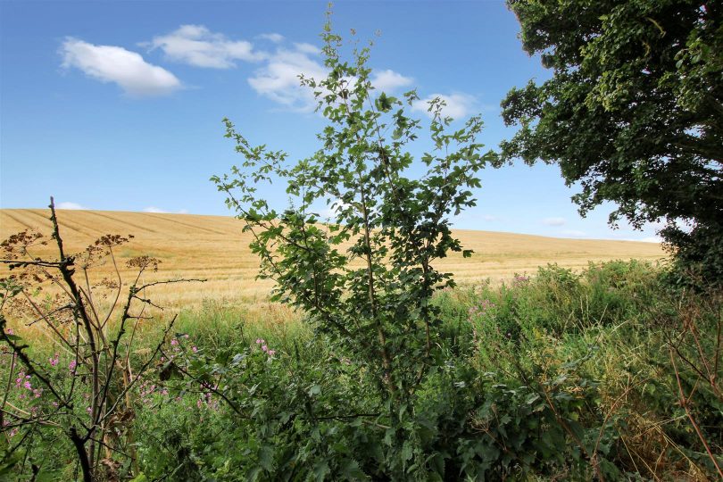 Poke Holes, Calcethorpe, Louth