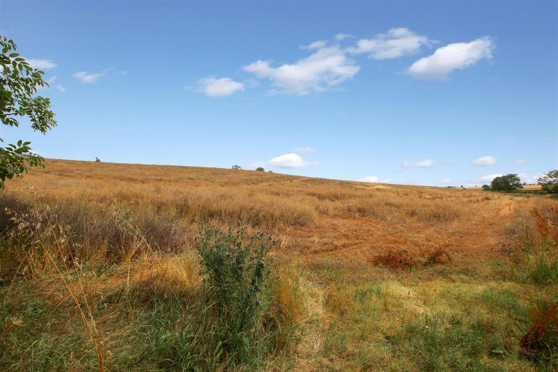 Poke Holes, Calcethorpe, Louth