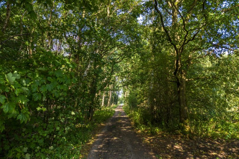 Rasen Road, Tealby, Market Rasen