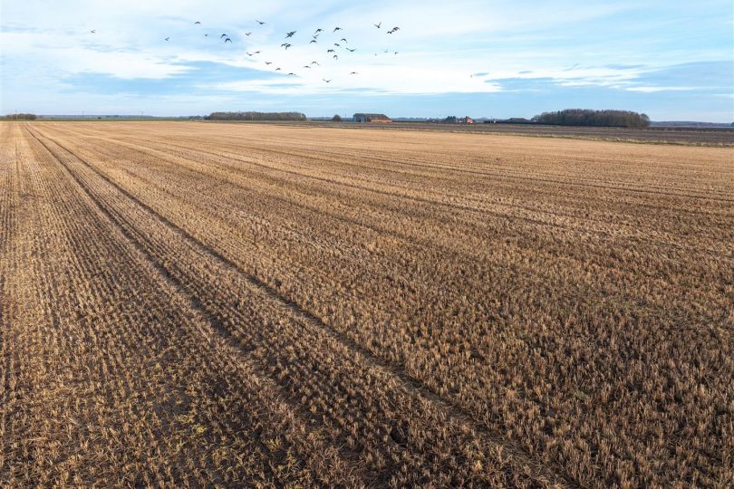 Lot 3 – Arable Land (34.59 Acres) – Martin Dales, Woodhall Spa