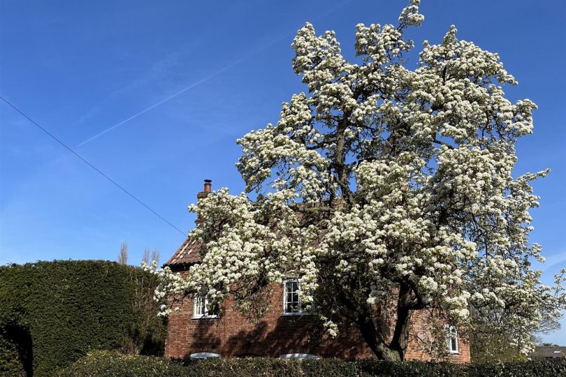 Maltkiln Road, Fenton, Lincoln